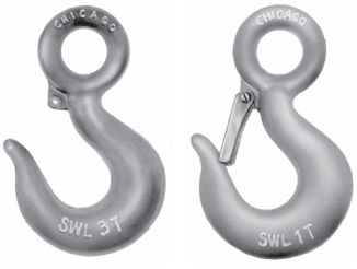 Eye Hook With Safety Catch 2T SWL