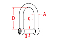 316 Stainless Steel Wide D Shackles - 2